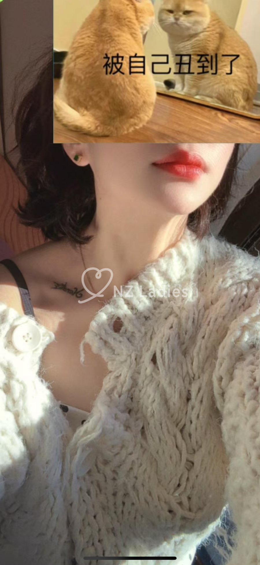 Stella